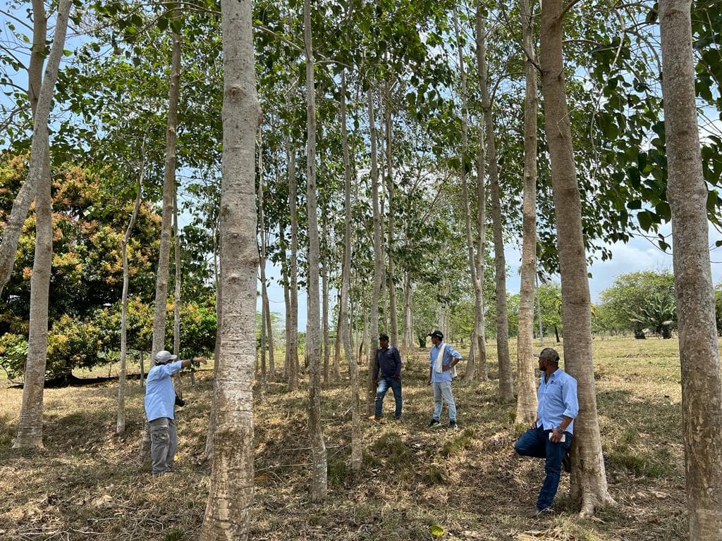 Impulsamos tu finca para producir más, mejor y de forma sostenible.
